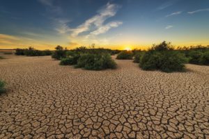Schwerste Dürre in Italien seit 70 Jahren