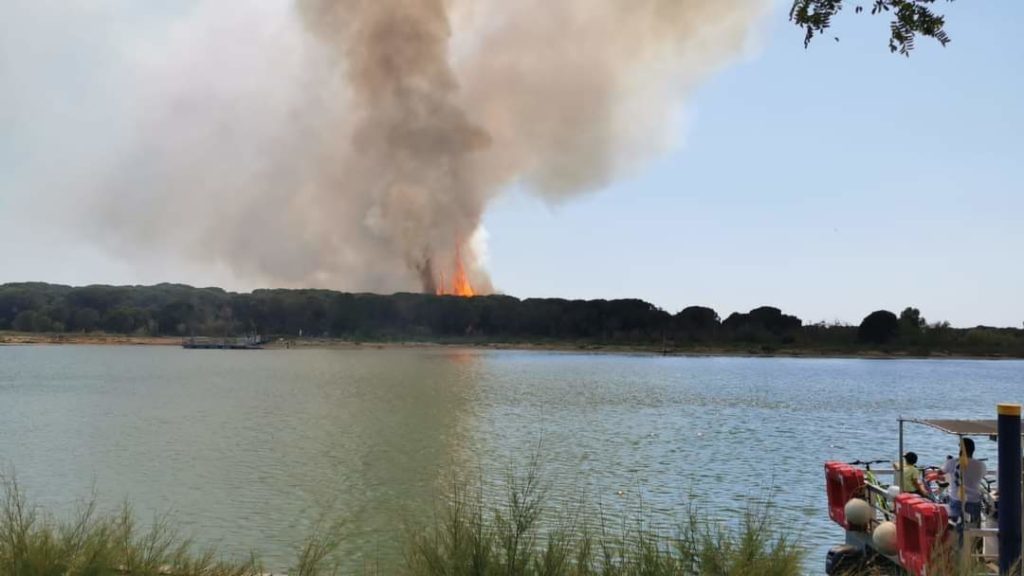 Bibione - Großbrand bedroht den Pinienwald