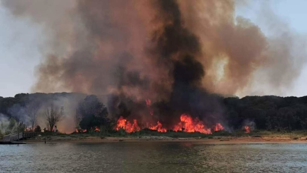 Waldbrand in Bibione - Sorge um Luftschadstoffe in Lignano
