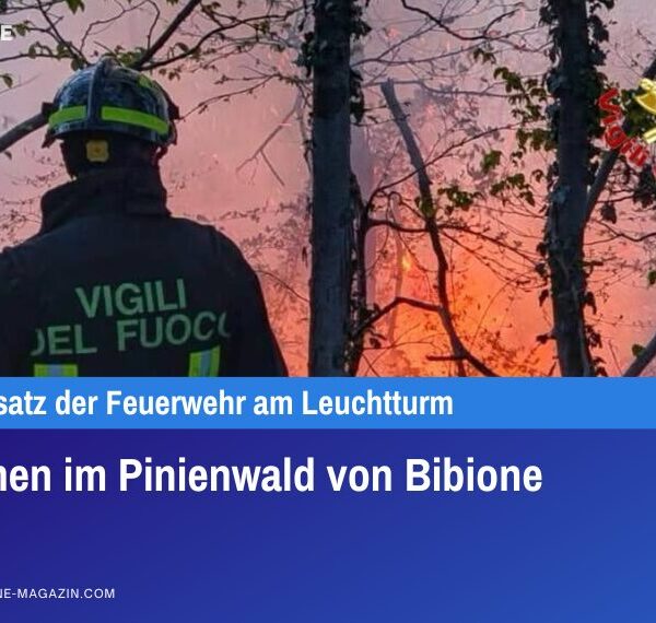 Flammen im Pinienwald von Bibione