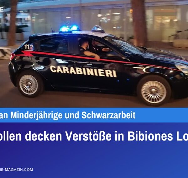 Kontrollen decken Verstöße in Bibiones Lokalen auf
